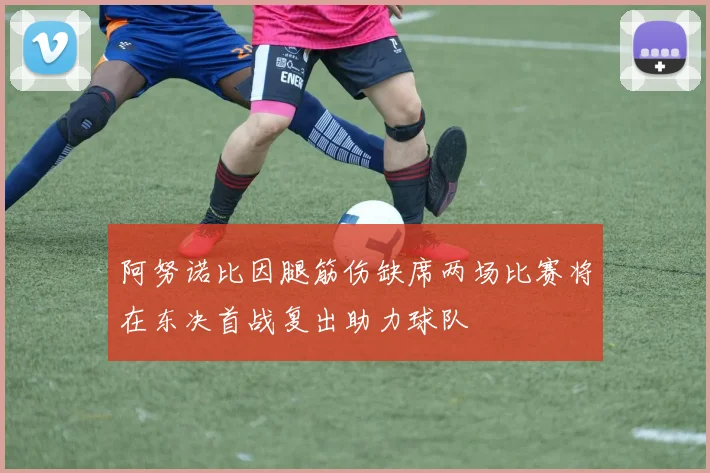 阿努诺比因腿筋伤缺席两场比赛将在东决首战复出助力球队